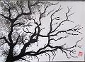 encre de chine_0018